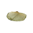 JHC Dried Lotus Leaves